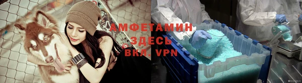 твердый Алексин