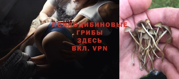 соль ск Алексеевка
