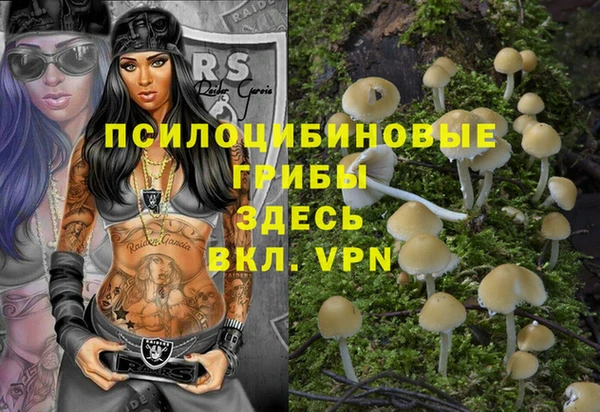 твердый Алексин