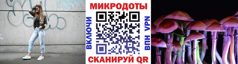 shop какой сайт  Одинцово  Галлюциногенные грибы мухоморы 