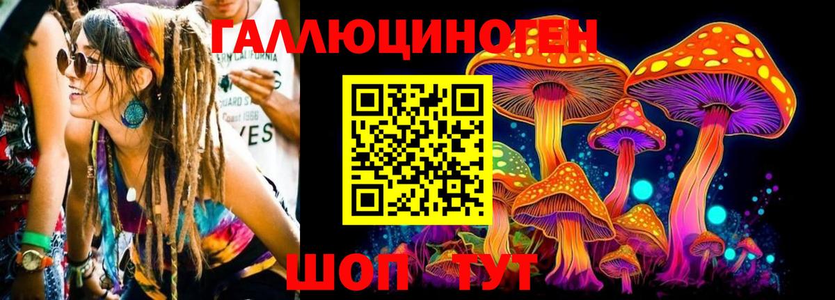 Псилоцибиновые грибы Psilocybine cubensis Одинцово
