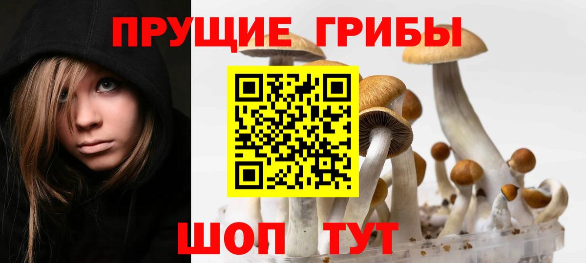 Одинцово  наркотики  Вход с VPN  Галлюциногенные грибы мухоморы 